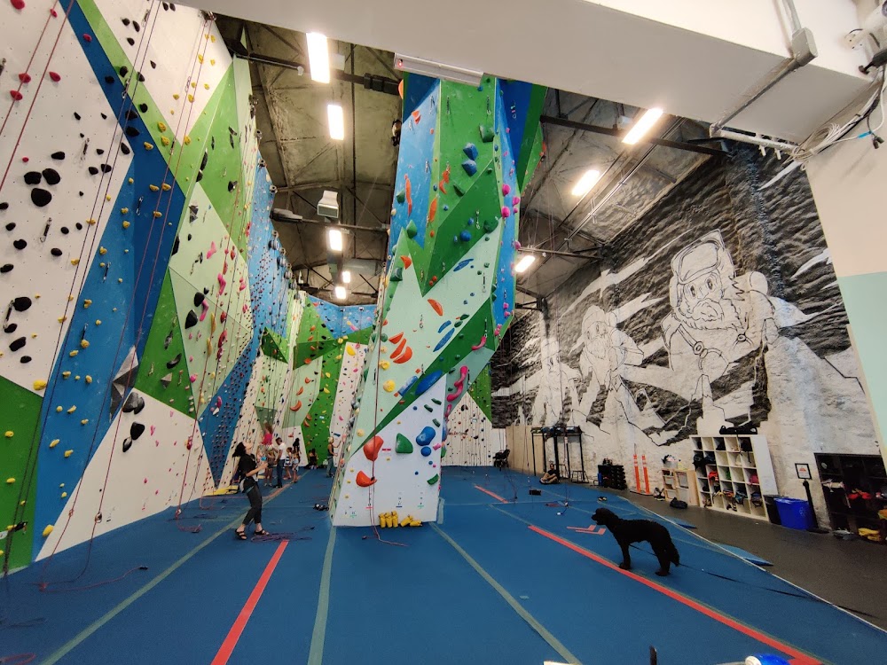 Inside Basecamp Climbing (Bloor West)